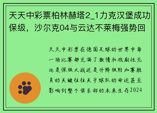 天天中彩票柏林赫塔2_1力克汉堡成功保级，沙尔克04与云达不莱梅强势回归德甲 - 副本