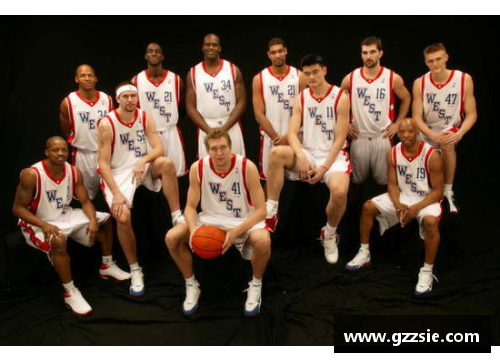 天天中彩票NBA球队大全：探索所有美国职业篮球联赛的球队及其历史背景